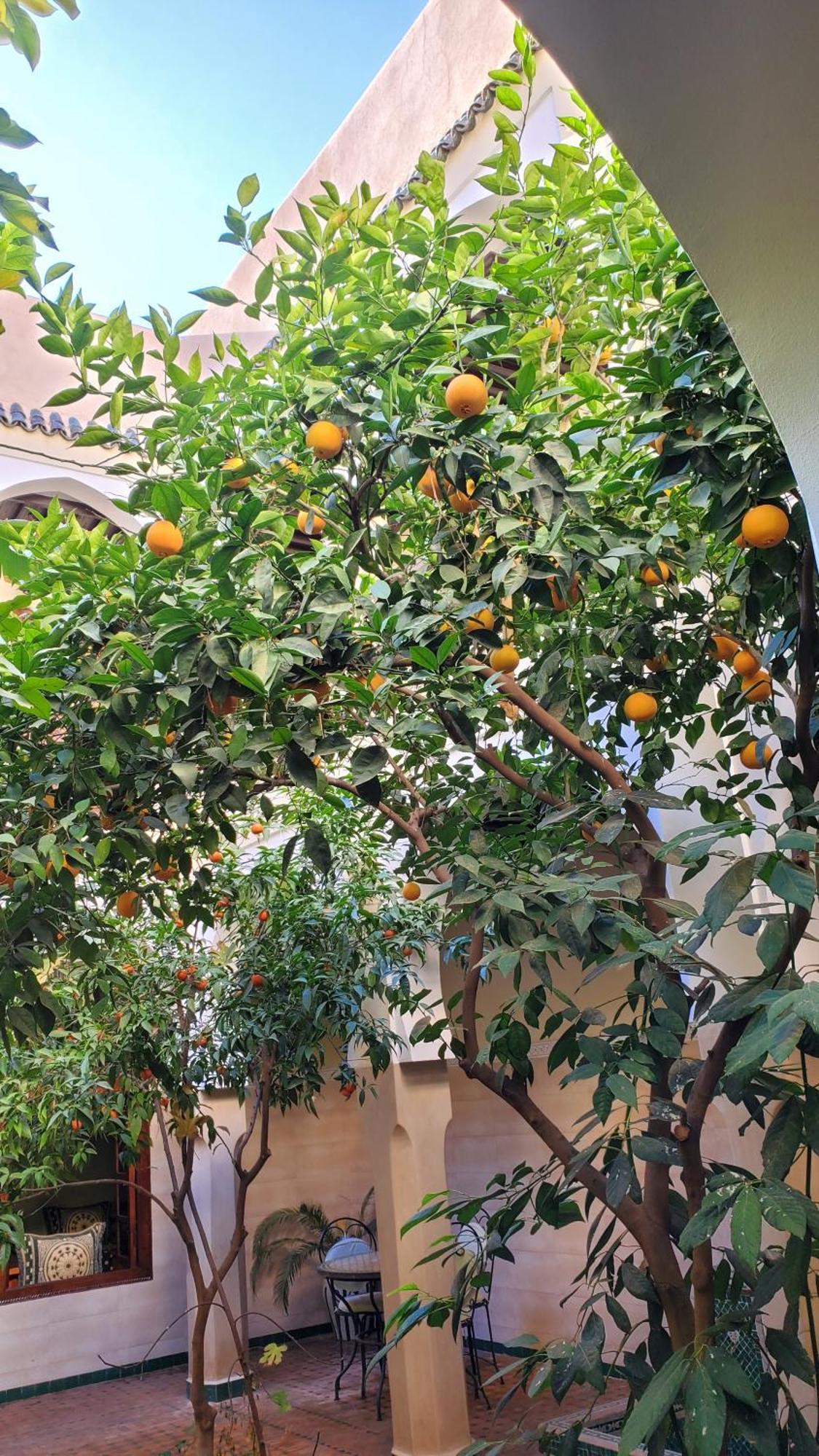 Riad Tidar By Phoenix Marrakesh Exteriör bild