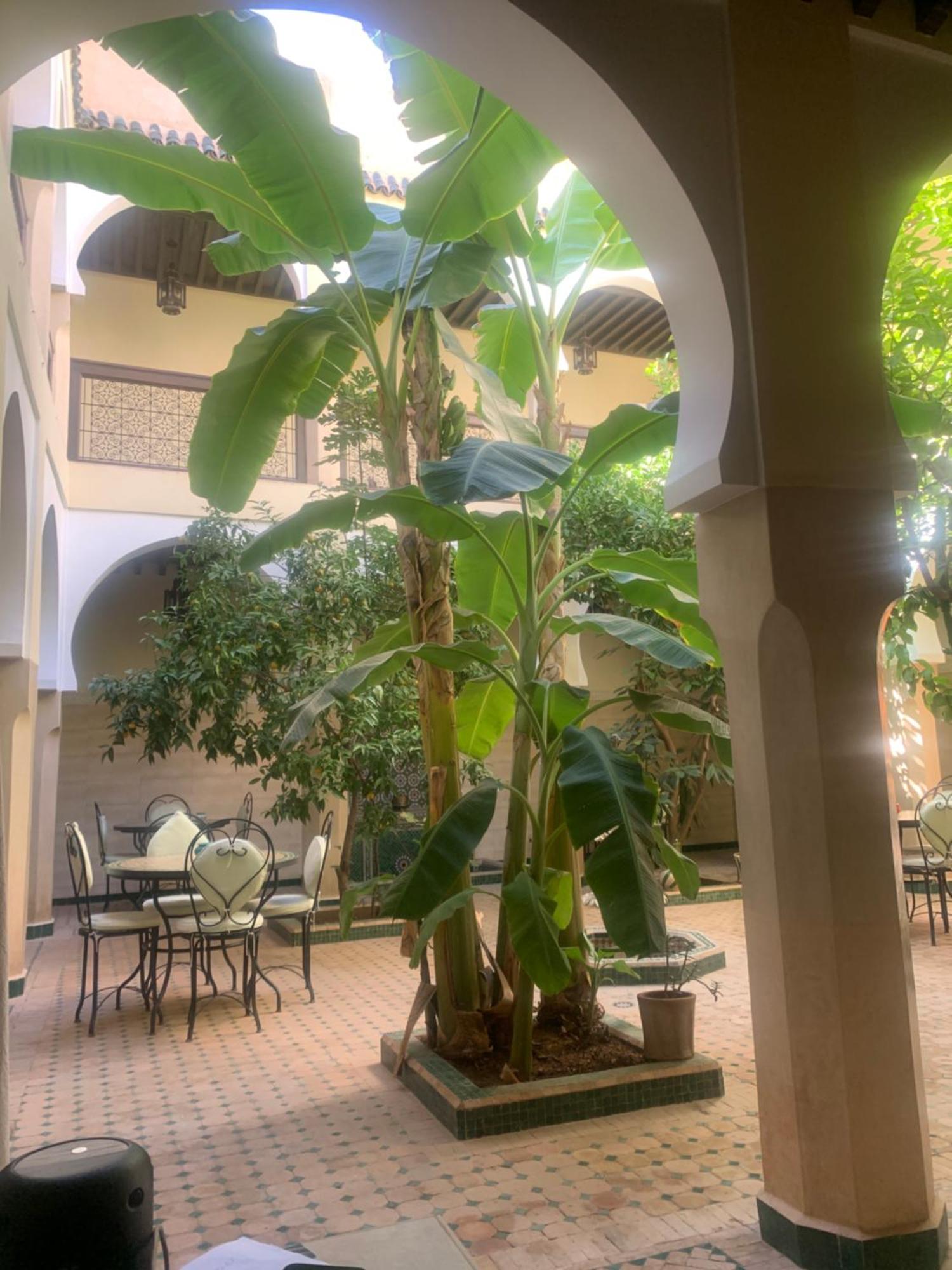Riad Tidar By Phoenix Marrakesh Exteriör bild