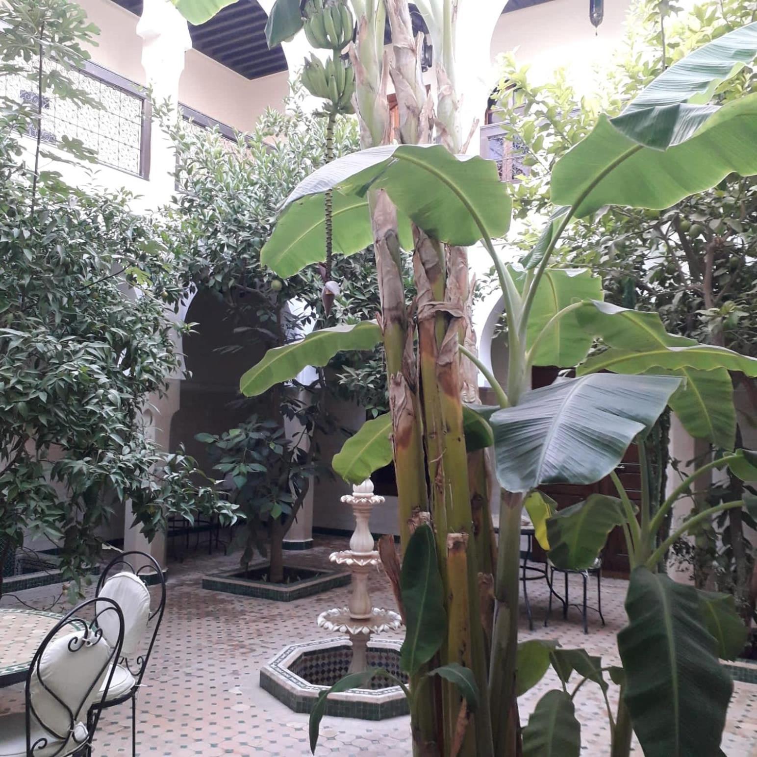 Riad Tidar By Phoenix Marrakesh Exteriör bild