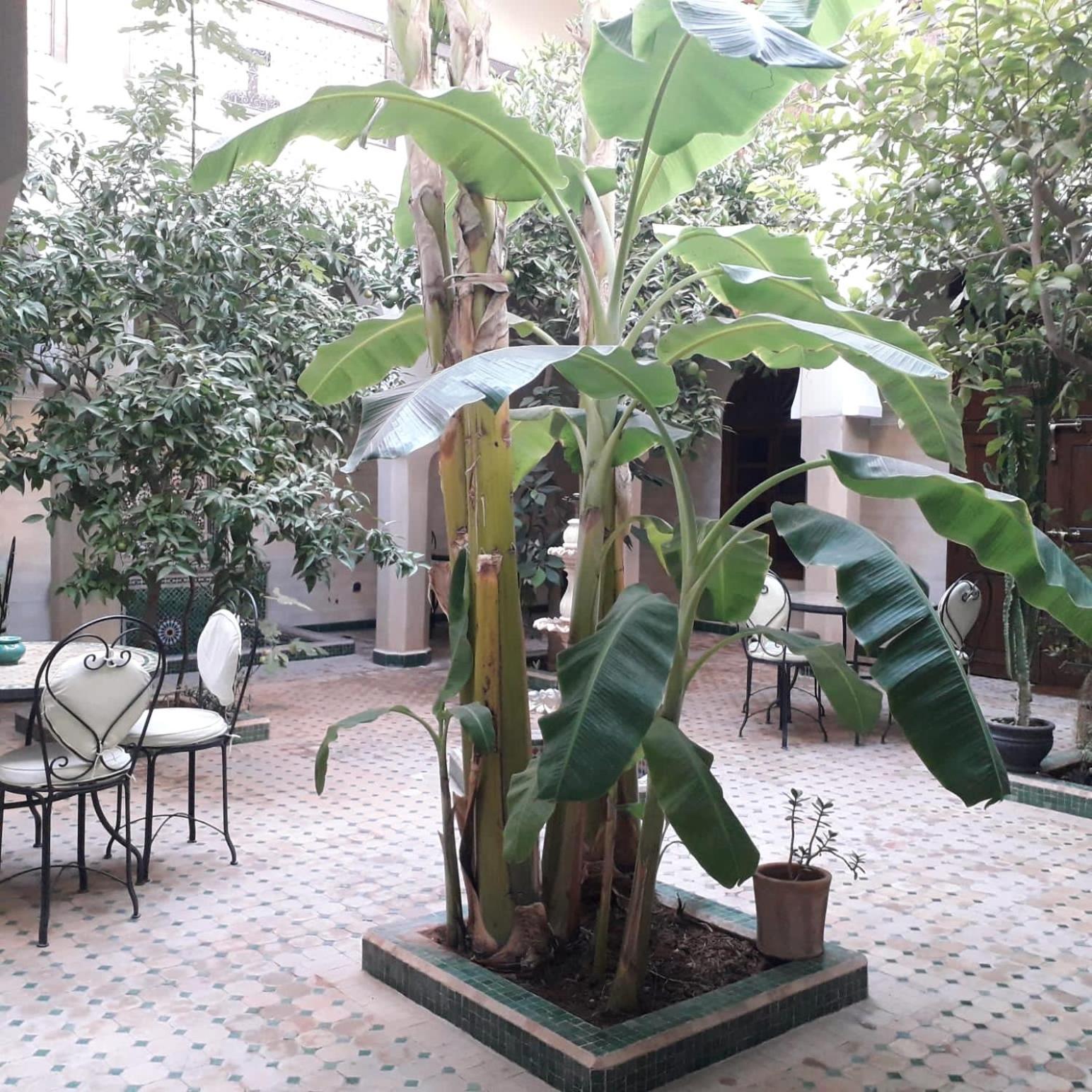 Riad Tidar By Phoenix Marrakesh Exteriör bild